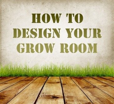 how to grow your business